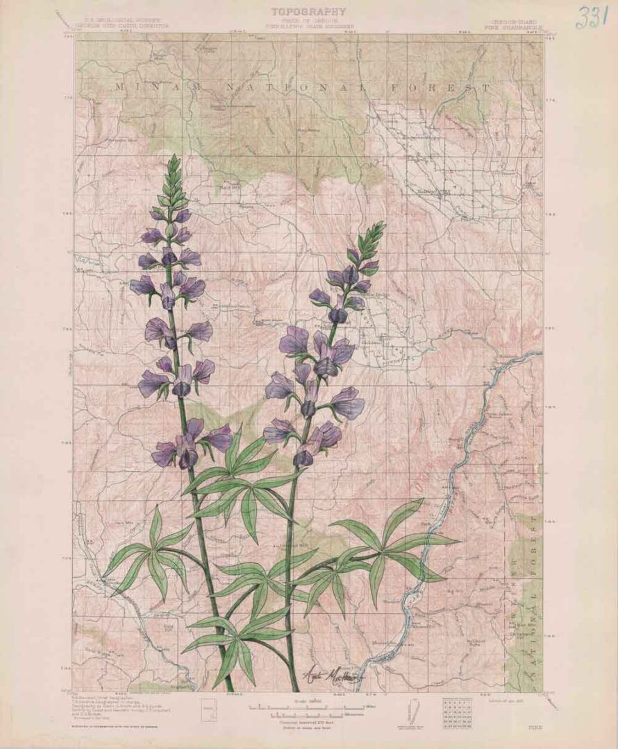 Anita Mathews Montana Traditions
