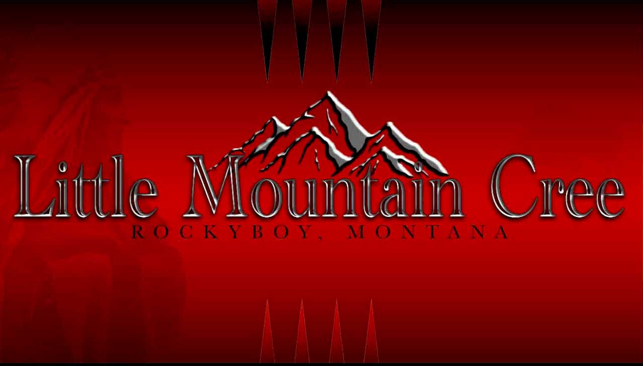 Little Mountain Cree Cover