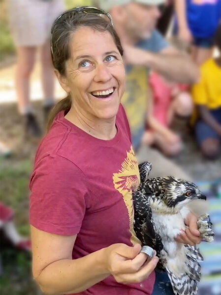 Ripple and Montana Osprey Program